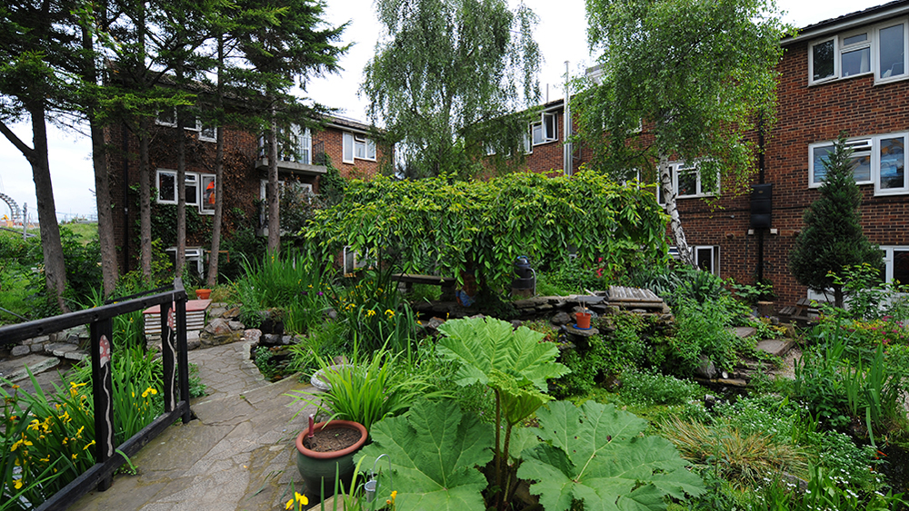 Sanford Housing Co-op gardens