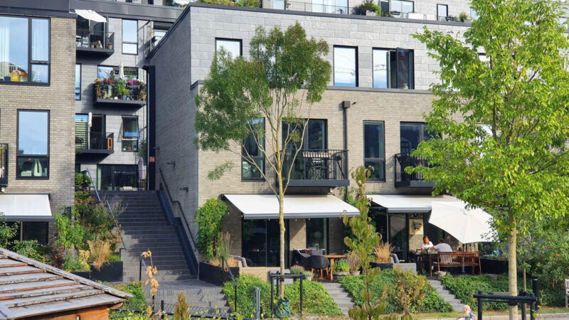 Patio dinner overlooking shared gardens