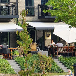 Patio dinner overlooking shared gardens